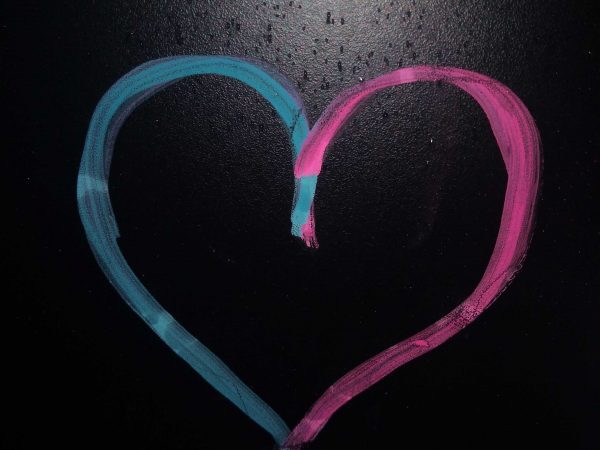 The heart with differences in mind