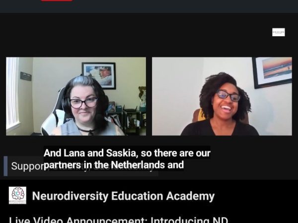 ND Groundwork - Neurodiversity Foundation