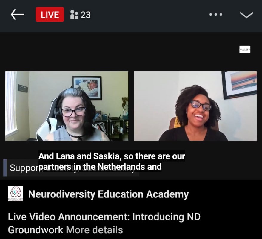 ND Groundwork - Neurodiversity Foundation