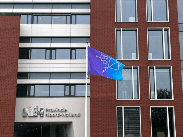 Neurodiversity Pride Flag